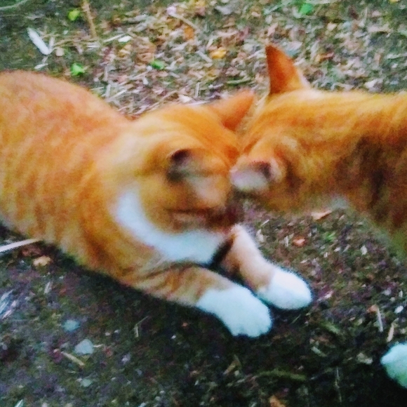 Meet your Posher, Yuuki - Picture 1 of 1